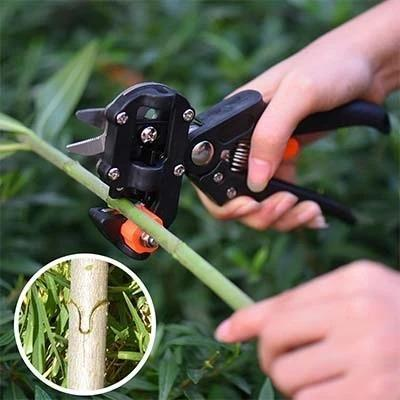 🎉2024 Cleaning Promotion-Garden Professional Grafting and Cutting Tools😍