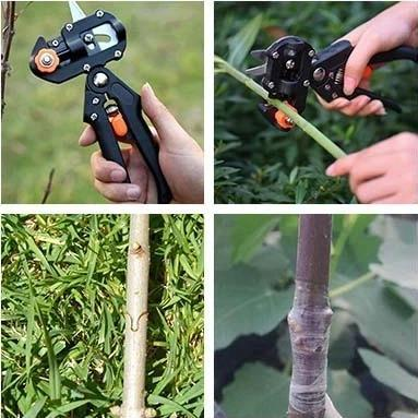 🎉2024 Cleaning Promotion-Garden Professional Grafting and Cutting Tools😍